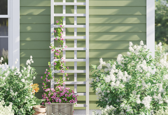 Budget-Friendly Trellises